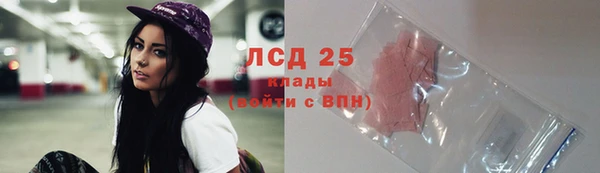ГАЛЛЮЦИНОГЕННЫЕ ГРИБЫ Майский