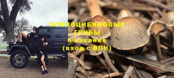 стафф Магас