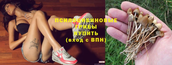 mdpv Медногорск