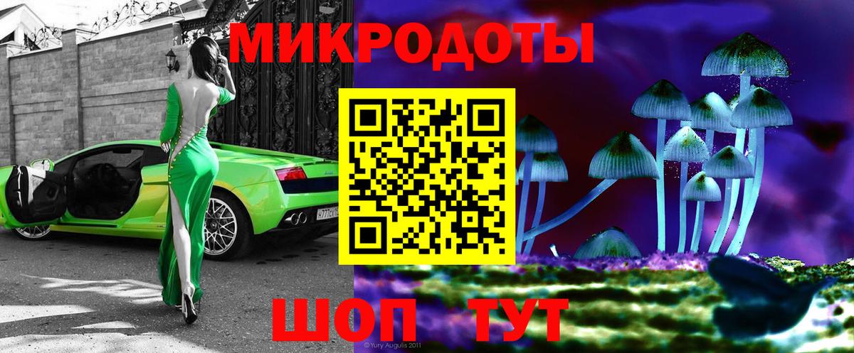 Галлюциногенные грибы прущие грибы  Дербент 