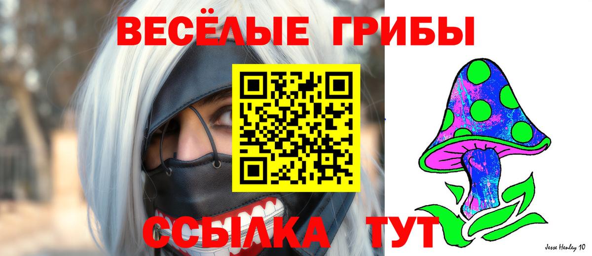Псилоцибиновые грибы GOLDEN TEACHER  где можно купить наркотик  Галлюциногенные грибы MAGIC MUSHROOMS  Дербент  Вход с VPN 
