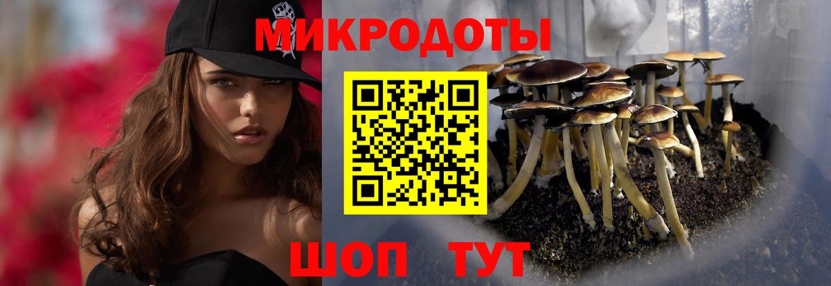 Галлюциногенные грибы Psilocybine cubensis Дербент